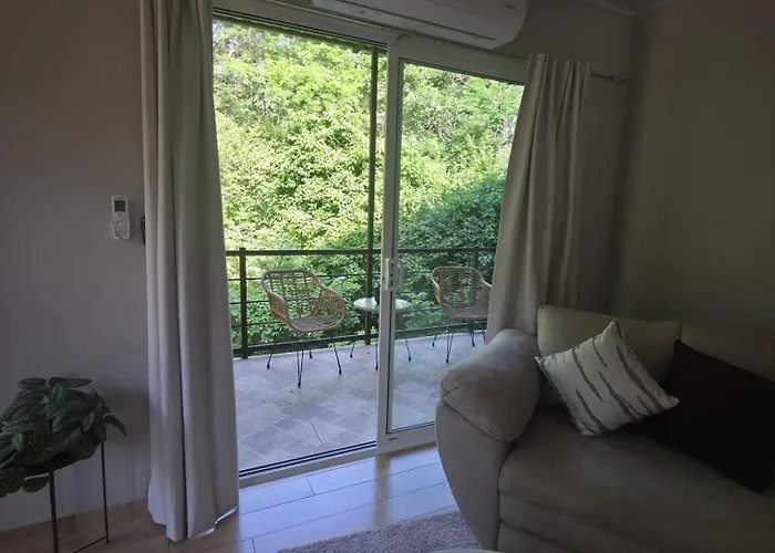 Casa Congo Tamarindo Villarreal